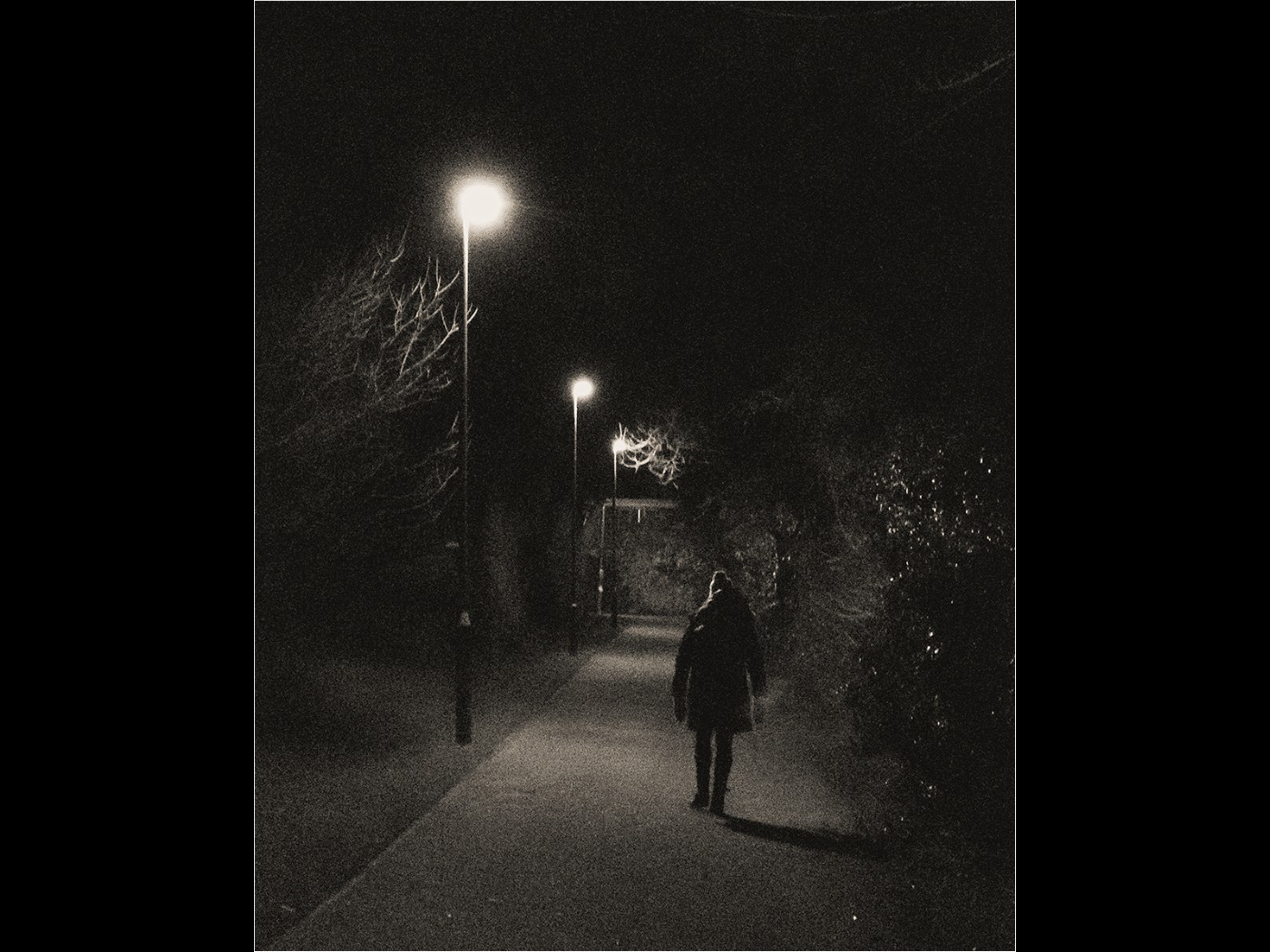 19 NIGHT WALKER by ROGER GODDARD